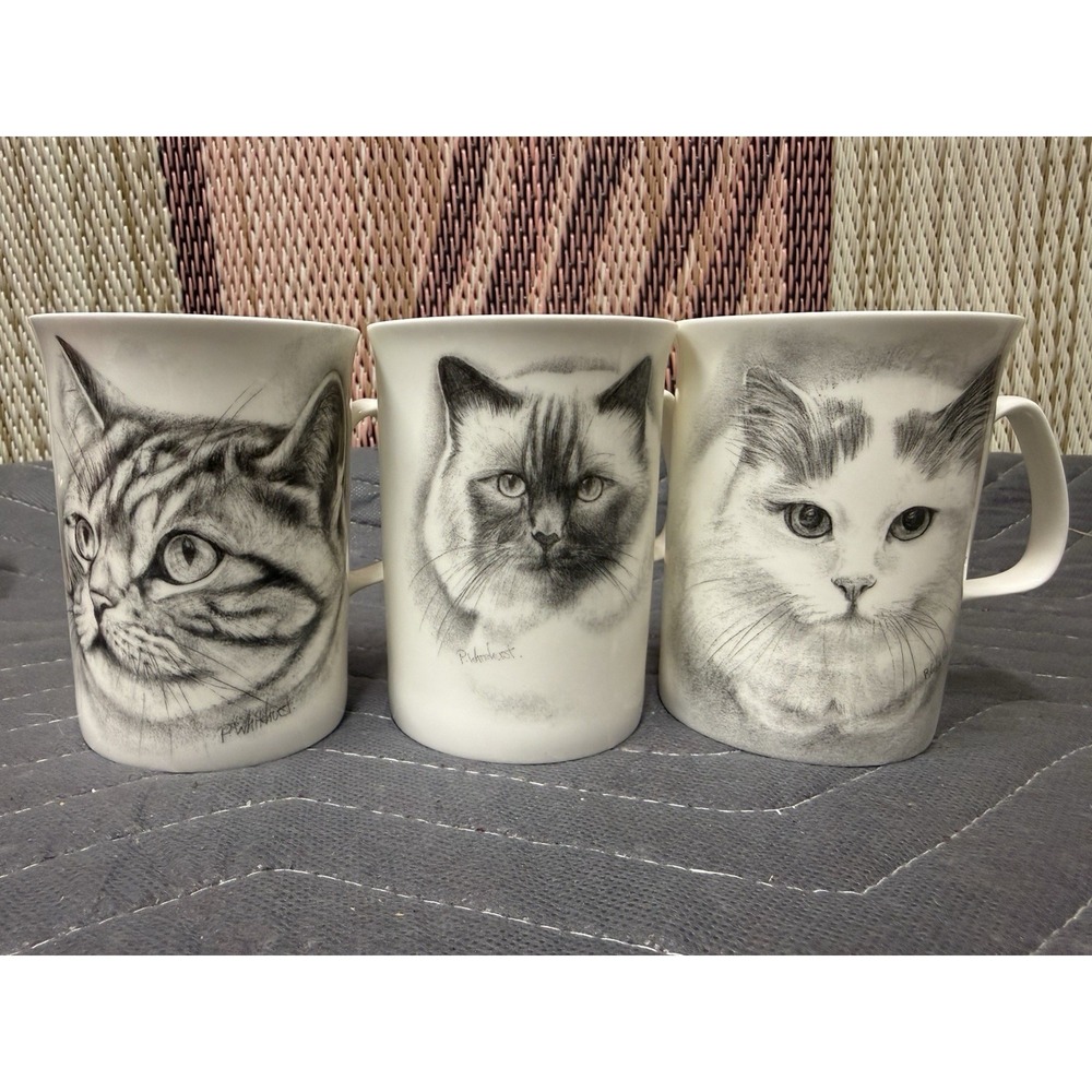 Set Of 3 P & R Designs Black & White Cat Cup‎ Mugs P. Whitehurst Fine Bone China